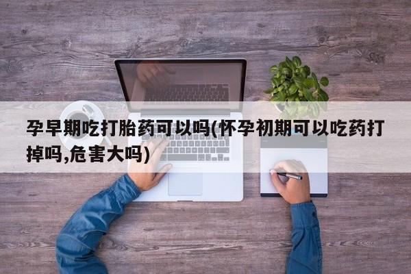 网上买打胎药联系方式微信，孕早期吃打胎药可以吗(怀孕初期可以吃药打掉吗,危害大吗)